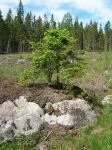 DSCN1795.JPG